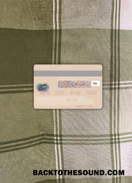 İndir Endonezya Banka BTPN Mastercard foto-görünüm Arka Örnek şablon