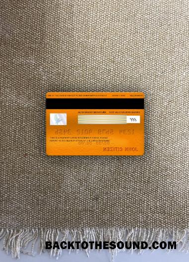 İndir Letonya Swedbank Vize electron Kart foto-görünüm Arka Örnek taslak
