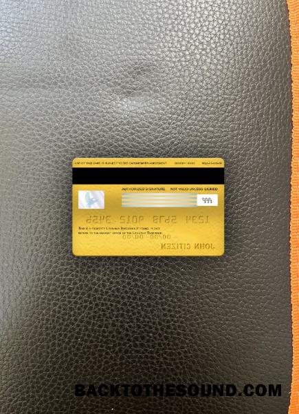 İndir Litvanya Swedbank Vize electron Kart foto-görünüm Arka Örnek şablon
