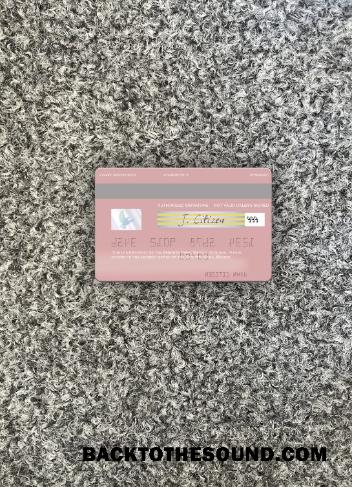 İndir Meksika Banorte Banka Vize Banka Kart foto-görünüm Arka Örnek şablon