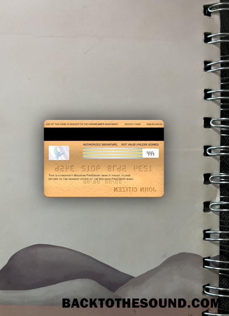 İndir Moldova ProCredit Banka Vize electron Kart 2 foto-görünüm Arka Örnek taslak