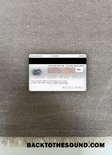 İndir Moğolistan Arig Banka Mastercard foto-görünüm Arka Örnek taslak