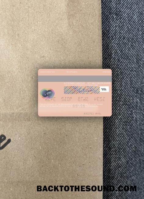 İndir Karadağ Hipotekarna Banka Mastercard foto-görünüm Arka Örnek örnek