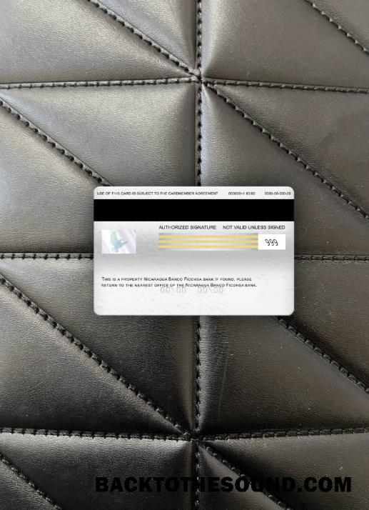 İndir Nikaragua Banco Ficohsa Banka Vize electron Kart foto-görünüm Arka Örnek tasarım