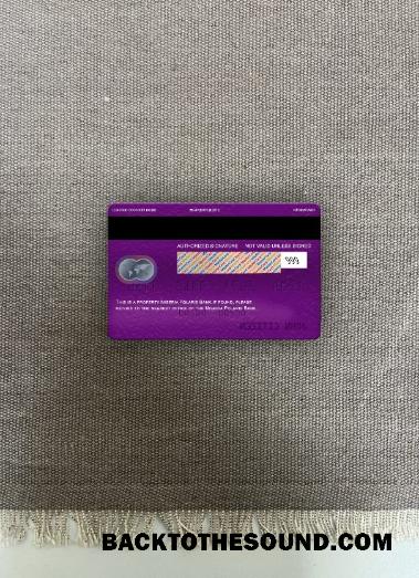 İndir Nijerya Polaris Banka Mastercard foto-görünüm Arka Örnek ön izleme