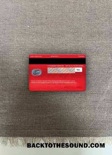 İndir Norveç Banka Norwegian AS Banka Mastercard foto-görünüm Arka Örnek şablon