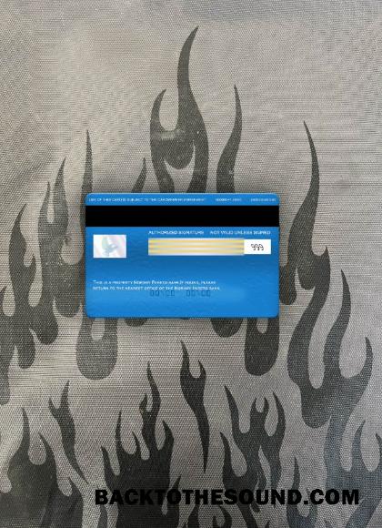 İndir Norveç Pareto Banka Vize electron Kart foto-görünüm Arka Örnek ön izleme