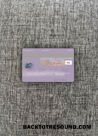 İndir Pakistan Meezan Banka Limited Mastercard foto-görünüm Arka Örnek taslak