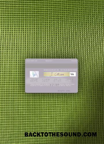 İndir Pakistan Meezan Banka Limited Vize Banka Kart foto-görünüm Arka Örnek tasarım