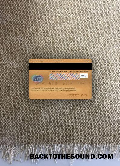İndir Panama Banco Aliado Banka Mastercard gold foto-görünüm Arka Örnek tasarım