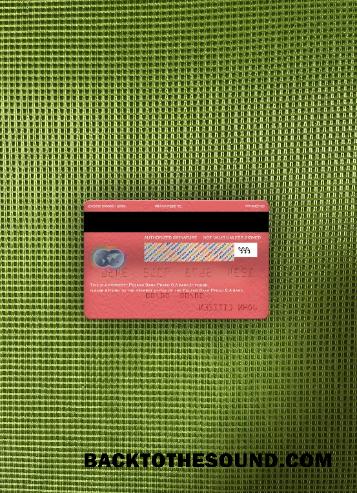 İndir Polonya Banka Pekao S.A Banka Mastercard foto-görünüm Arka Örnek şablon
