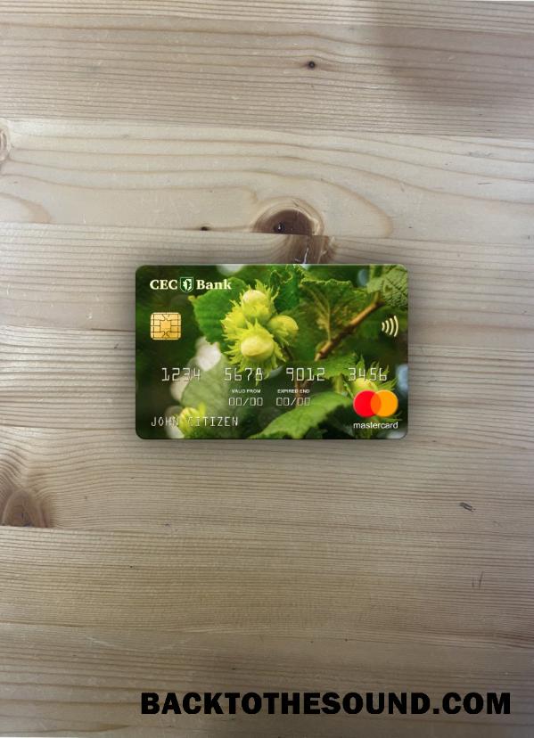 İndir Romanya CEC Banka Mastercard foto-görünüm Ön Örnek örnek