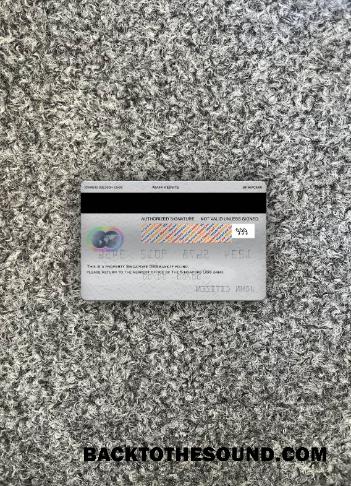 İndir Singapur DBS Banka Mastercard foto-görünüm Arka Örnek örnek