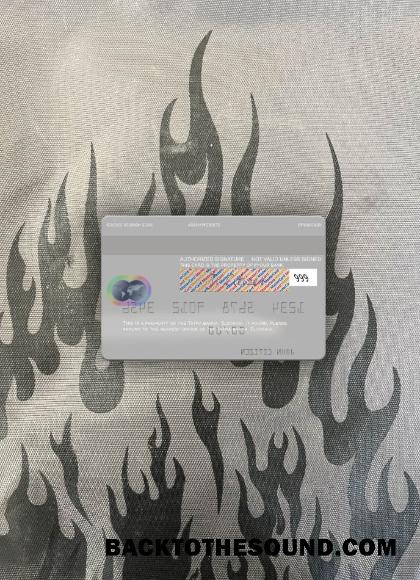 İndir Slovakya Tatra Banka Mastercard gri foto-görünüm Arka Örnek ön izleme