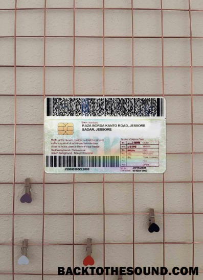 Pobierz Bangladesz DL Wersja 2 wygląd zdjęcia Tył Próbka podgląd