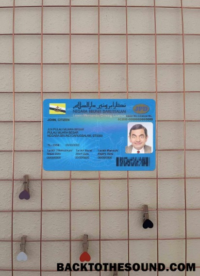 Pobierz Brunei Prawo jazdy wygląd zdjęcia Przód Próbka podgląd