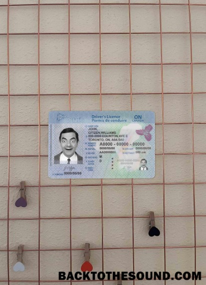 Pobierz Kanada Ontario DL (2018 – Obecny) wygląd zdjęcia Przód Próbka makieta