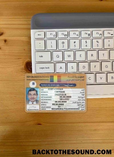 Pobierz Czad Republique Dutchad DL wygląd zdjęcia Przód Próbka próbka