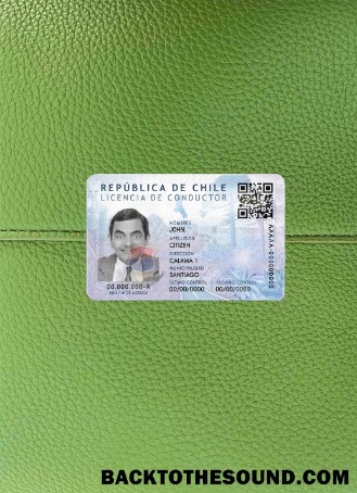 Pobierz Chile Dl PSD wygląd zdjęcia Przód Próbka projekt
