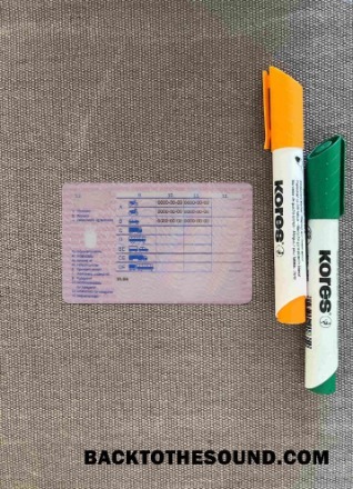 Pobierz Dania Prawo jazdy (1997 2013)wygląd zdjęcia Tył Próbka próbka