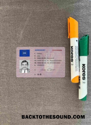 Pobierz Dania Prawo jazdy (1997 2013)wygląd zdjęcia Przód Próbka makieta