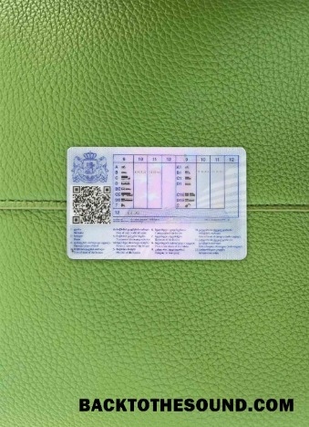Pobierz Gruzja DL wygląd zdjęcia Tył Próbka próbka