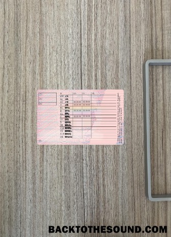 Pobierz Grecja Prawo jazdy Wersja 2 wygląd zdjęcia Tył Próbka próbka