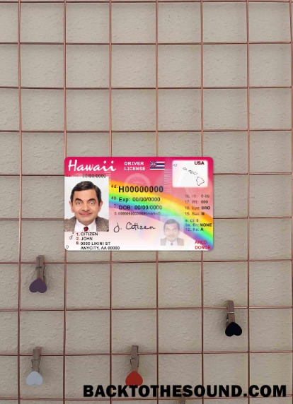 Pobierz Hawaii DL wygląd zdjęcia Przód Próbka szablon