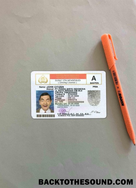 Pobierz Indonezja DL wygląd zdjęcia Przód Próbka podgląd