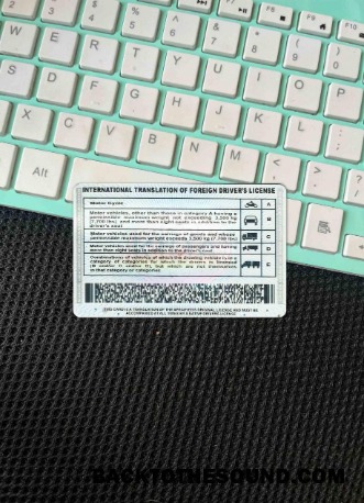 Pobierz międzynarodowy Translation of drivers Licencja wygląd zdjęcia Tył Próbka makieta