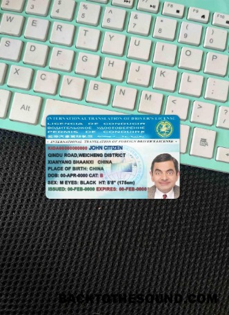 Pobierz międzynarodowy Translation of drivers Licencja wygląd zdjęcia Przód Próbka próbka