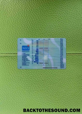 Pobierz Irlandia Prawo jazdy (learner Pozwolenie) 2022 Obecny wygląd zdjęcia Tył Próbka szablon