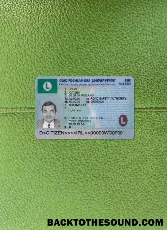 Pobierz Irlandia Prawo jazdy (learner Pozwolenie) 2022 Obecny wygląd zdjęcia Przód Próbka próbka