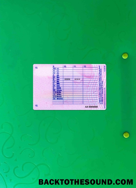 Pobierz Włochy DL wygląd zdjęcia Tył Próbka podgląd