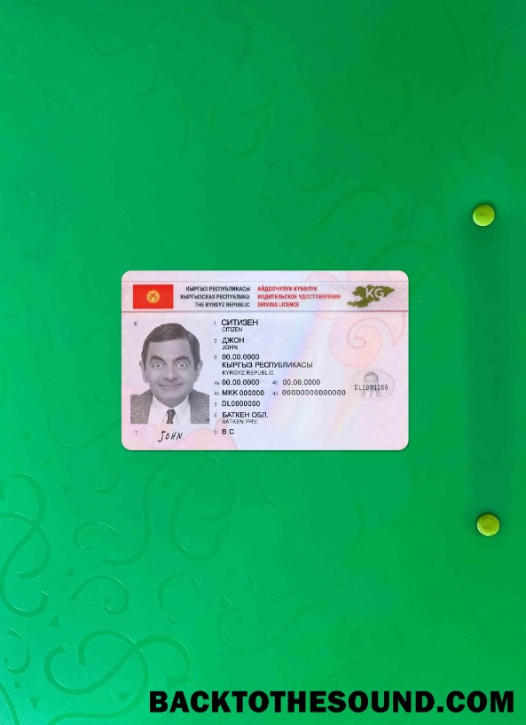 Pobierz Kirgistan Prawo jazdy 2019 Obecny wygląd zdjęcia Przód Próbka makieta