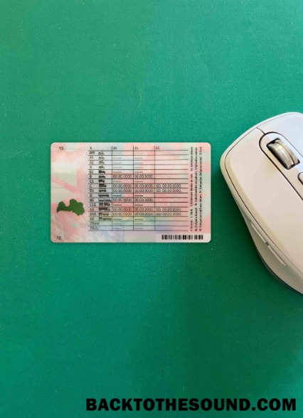 Pobierz Łotwa DL wygląd zdjęcia Tył Próbka próbka