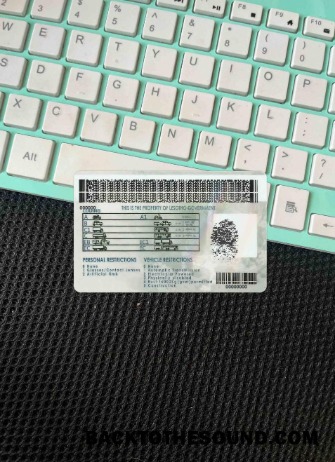 Pobierz Lesotho Prawo jazdy wygląd zdjęcia Tył Próbka makieta