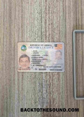 Pobierz Liberia DL wygląd zdjęcia Przód Próbka makieta