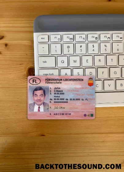 Pobierz Liechtenstein Prawo jazdy wygląd zdjęcia Przód Próbka szablon