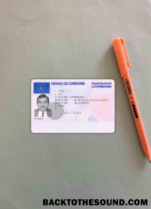 Pobierz Luksemburg Prawo jazdy wygląd zdjęcia Przód Próbka makieta