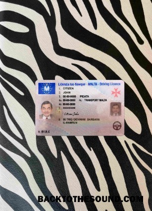 Pobierz Malta Prawo jazdy wygląd zdjęcia Przód Próbka makieta