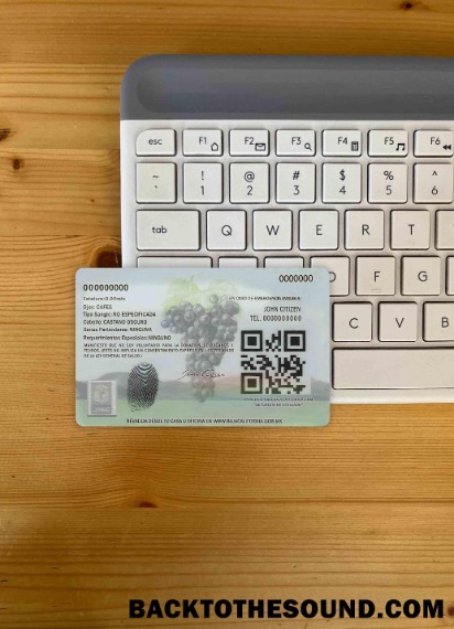 Pobierz Meksyk Baja California Prawo jazdy wygląd zdjęcia Tył Próbka projekt