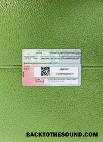 Pobierz Meksyk Prawo jazdy wygląd zdjęcia Tył Próbka projekt