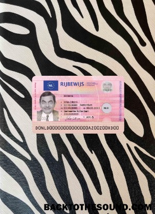 Pobierz Netherland Nowy Prawo jazdy wygląd zdjęcia Przód Próbka makieta