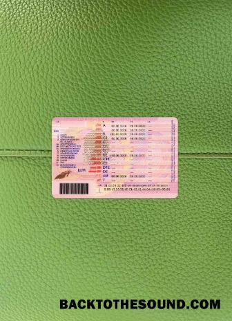 Pobierz Holandia Prawo jazdy wygląd zdjęcia Tył Próbka szablon