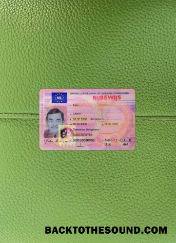 Pobierz Holandia Prawo jazdy wygląd zdjęcia Przód Próbka podgląd