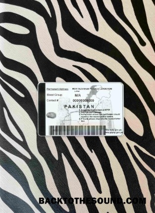 Pobierz Pakistan DL wygląd zdjęcia Tył Próbka makieta