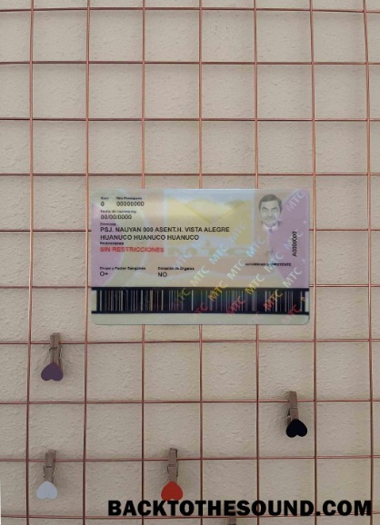 Pobierz Peru Prawo jazdy wygląd zdjęcia Tył Próbka próbka