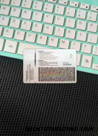 Pobierz Filipiny Prawo jazdy wygląd zdjęcia Tył Próbka podgląd