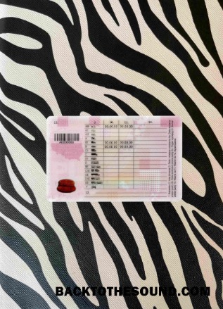 Pobierz Polska DL 2019 Obecny wygląd zdjęcia Tył Próbka projekt